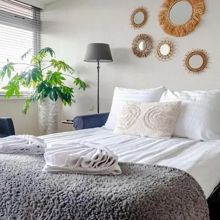 De Kokkel Free Parking * Zandvoort