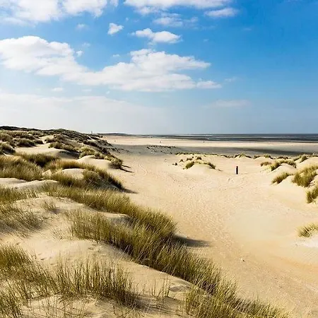 De Kokkel Free Parking Apartmán